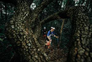 BIB: 
                            <button type="button" onclick="openModal(25686203)" class="btn btn-primary btn-sm float-right btn-popup" data-toggle="modal" data-target=".modal-high-quality">
                        <i class="fas fa-shopping-cart"></i> Add to Cart
                    </button>
                                            <button type="button" onclick="isThisMe(25686203, true)" class="btn btn-success btn-sm float-right btn-popup btn-isme hidden" data-toggle="tooltip" data-placement="bottom" title="นี่คือรูปของคุณใช่ไหม คลิกที่นี่เพื่อเอาเข้าอัลบั้ม">
                        <i class="fas fa-plus"></i> Add to album
                    </button>
                    <button type="button" onclick="isThisMe(25686203, false)" class="btn btn-warning btn-sm float-right btn-popup btn-isnotme hidden">
                        <i class="fas fa-ban"></i> Remove from album
                    </button>